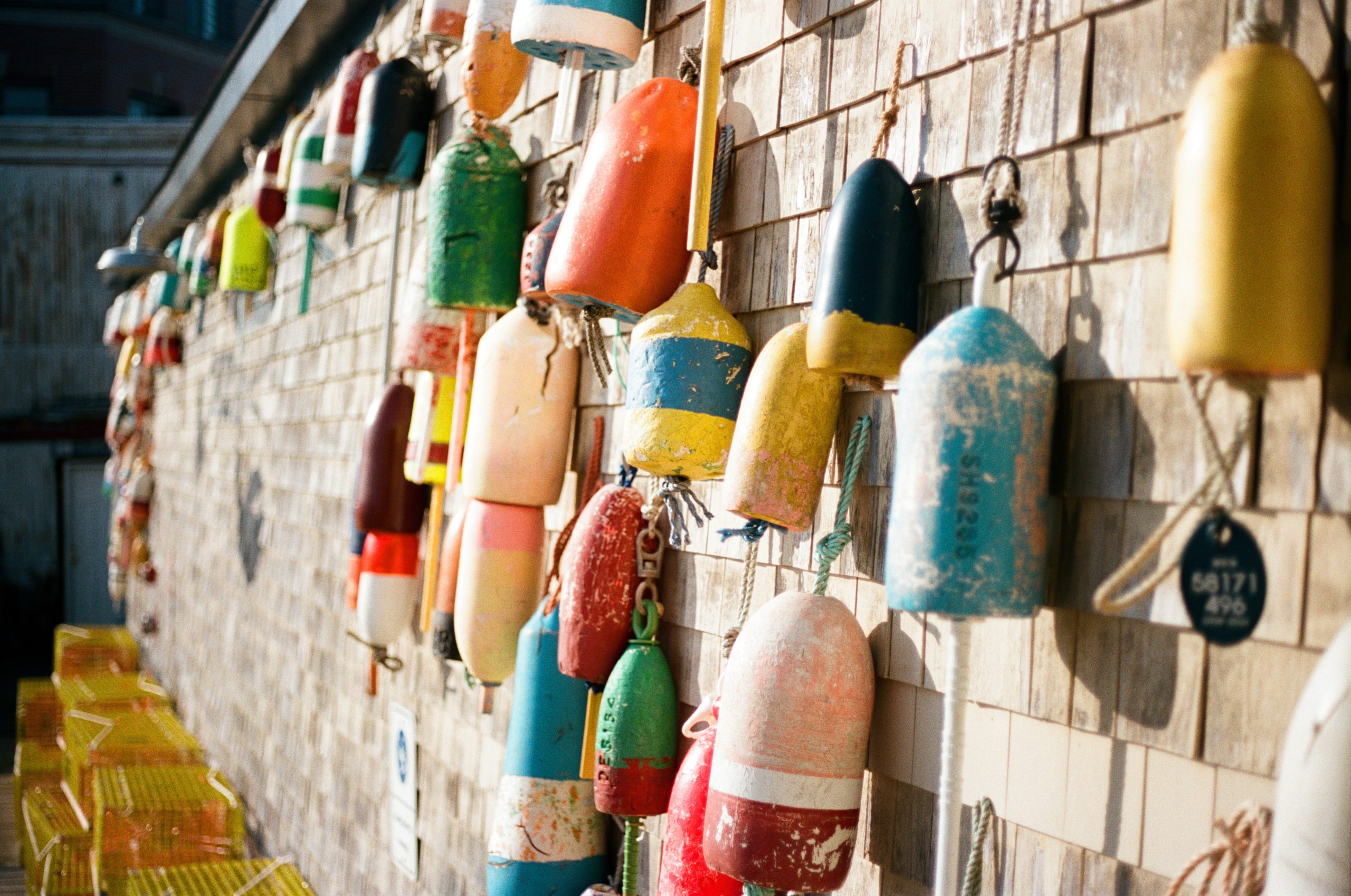 A row of buoys on a wall