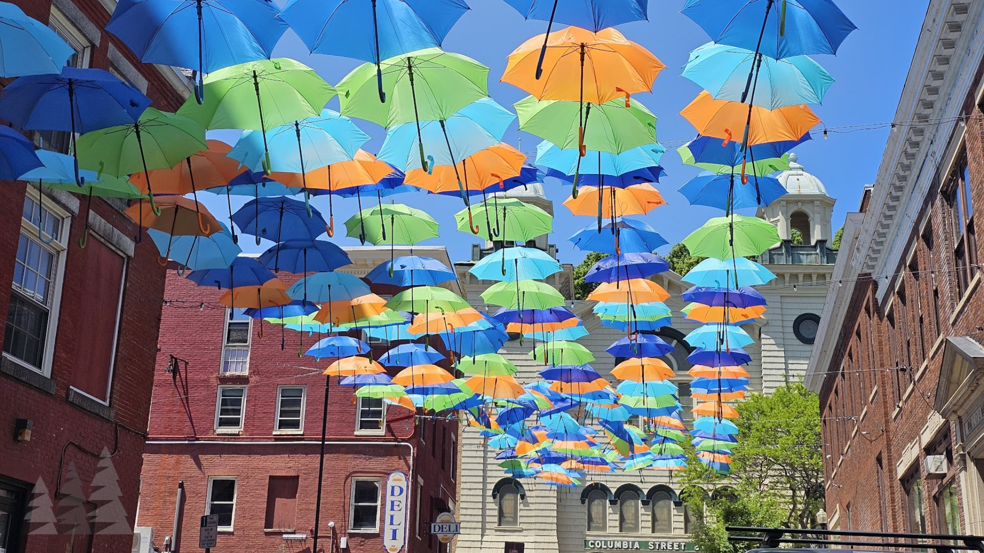 MERIT Expands Multilingual Access in Partnership with Vestwell and Vermont Language Justice Project